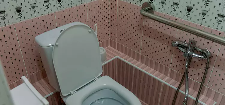 Meeting Diverse Needs With Accessible Restroom Solutions in Shirley, NY